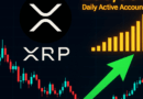 XRP Ledger Hits 295K Daily Users—Why This May Be a Setup for a $3 XRP Comeback