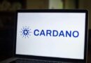 Cardano Foundation unveils blockchain-based tool to simplify audit compliance and enhance financial reporting
