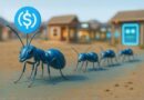 Jack Ma-backed Ant Group to adopt USDC for its blockchain platform to power cross-border payments, crypto transactions