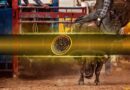 Is This the Ultimate Bullish Signal for BTC and XRP?