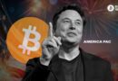 Elon Musk Launches ‘America Party’