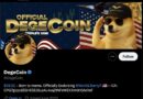 What Is DEGE Crypto? World Liberty Financial-Linked Meme Coin Surges +300% In 24 Hours