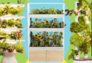 Best Indoor Garden Systems (2025), Tested and Reviewed