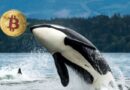 Galaxy Digital sends over 10,000 Bitcoin from Satoshi-era stash to exchanges