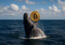 Dormant Bitcoin whale activates after 14 years and moves 60,000 BTC