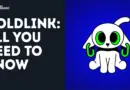 A Complete Guide to Coldlink: Your Trusted Wallet Companion