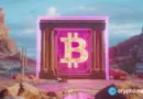 Calamos unveils ‘Protected Bitcoin’ strategy for institutional investors