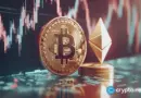 Are Bitcoin whales leaving while Ethereum gains?