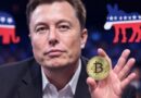 Elon Musk confirms ‘America Party’ will embrace Bitcoin because fiat is hopeless