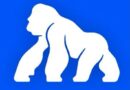 ApeCoin NFT Staking Migrates from Ethereum to ApeChain