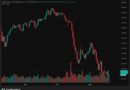 XRP, BNB, ADA Top Crypto Gainers: Altcoin Trio Pumps Despite Market Setback