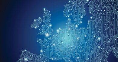 More than 10 European startups became unicorns this year