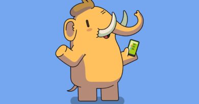 Mastodon says it doesn’t ‘have the means’ to comply with age verification laws
