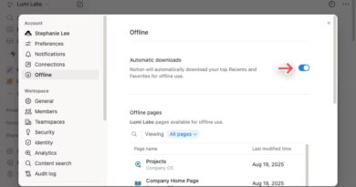 Finally, Notion now works without an internet connection