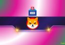 Shiba Inu to Appoint Interim President