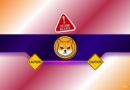 Major Warning for All Shiba Inu Investors and Users