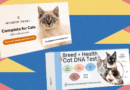 I Tried the Best At-Home Pet DNA Test Kits on My Two Cats (2025)