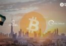 UAE Royal Group | 6,300 BTC Mined Through Citadel Mining