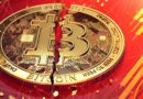 Warning: Expert Assesses Bitcoin Might Experience an Argentine Split
