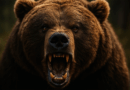Bitcoin Bears Take Control — Key $110K Barrier Shattered