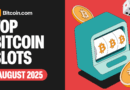 Top Bitcoin Casinos – Slots Guide for Beginners [August 2025]