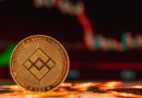 BNC Invests $160 Million in BNB, Becomes Largest Corporate Holder of BNB Globally