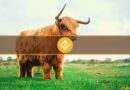 CEA Industries Secures $160M BNB Position Through Treasury Arm