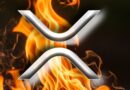 Ripple CEO Endorses XRP Card With Fire—Says ‘What a Time to Be Alive, XRP Family’
