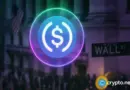 Bluprynt completes first KYI verification of a global stablecoin with USDC