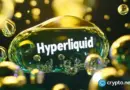 Hyperliquid hits all-time high in daily volume and fees