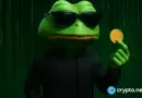 Pepe Coin tanks below key support, a deeper decline awaits