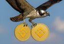 REX-Osprey files for BNB staking ETF after SOL ETF launch