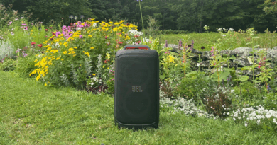 Review: The JBL PartyBox 520 made my wedding even better
