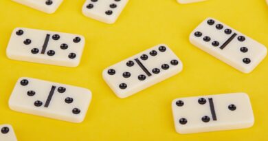 How to play Pips, the newest NYT game