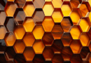 Hive Posts $45.6M in Total Revenue, Fueled by Bitcoin Mining Boom