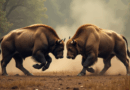 Morpho price jumps 12% to lead market gainers