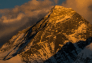Peaks and Pitfalls: Top 10 Crypto Assets Split Between Fresh Highs and Old Lows