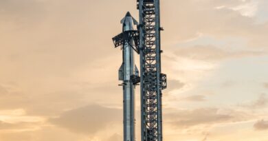 SpaceX notches major wins during tenth Starship test