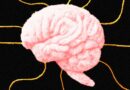 Psychological Tricks Can Get AI to Break the Rules