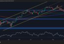 Will a Key Support Break Trigger More Losses for BTC?