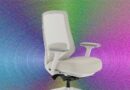 Why Your Office Chair Should Have Lumbar Support