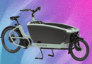 9 Best Electric Cargo Bikes for Families (2025), Tested and Reviewed
