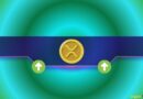 XRP’s Path to a New Record High: The Key Steps You Need to Watch
