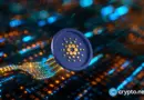 Cardano founder Charles Hoskinson discusses XRP collaboration