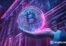 Corporate BTC treasuries are a threat to market stability