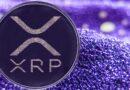 Tokyo Giant Gumi Gears up for Major XRP Buy With Global Finance Play in Sight