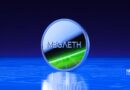 MegaETH Token Sale: Airdrop and CEX Listing?