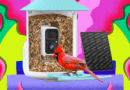 Amazon Is Having a Huge Black Friday Sale on Birdfy Smart Bird Feeders (2025)