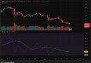 Crypto News Today, November 19: Crypto Price Chart Showing a Sign of Bottom as Bitcoin and Major Alts Holding