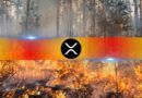 Ripple (XRP) Profit Share Collapses to 58.5%